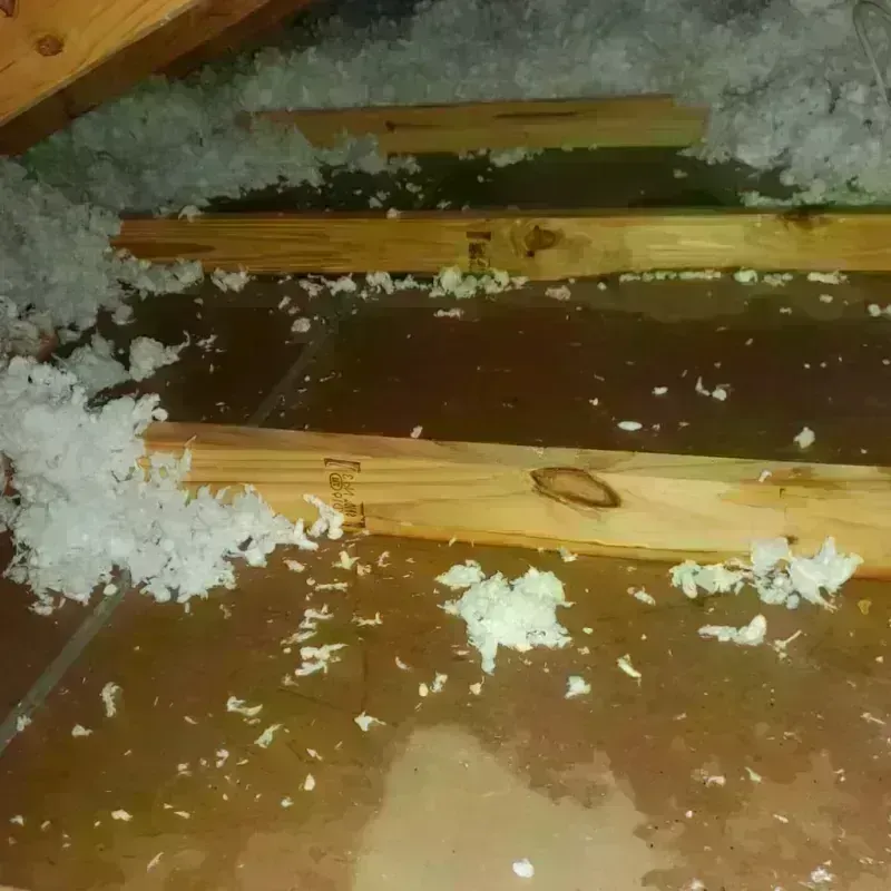 Attic Water Damage in Darke County, OH