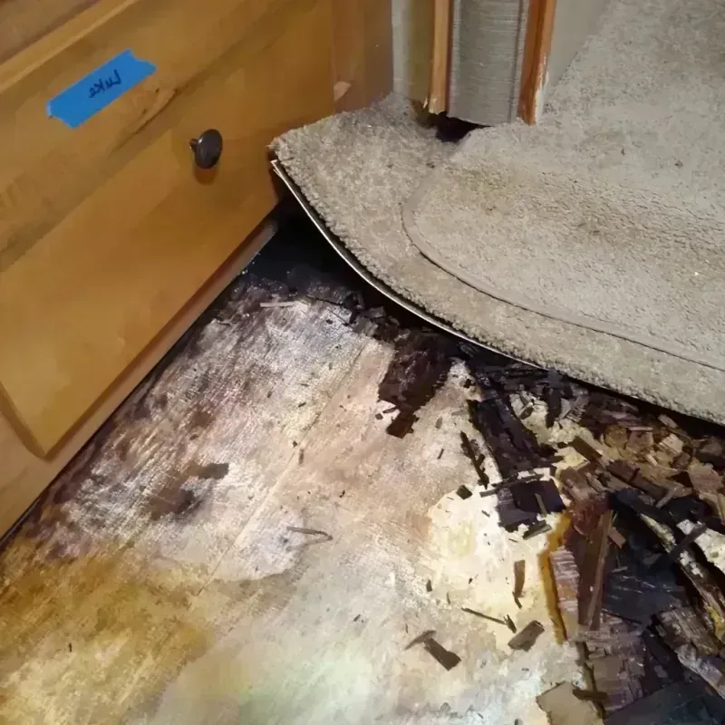 Best Wood Floor Water Damage Service in Darke County, OH